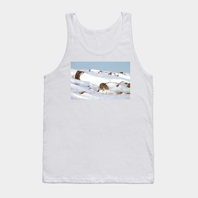 Snowed Rocks, Churchill, Canada Tank Top by Carole-Anne